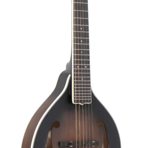 A-6: A-style Mando-Guitar with Pickup and Gig Bag