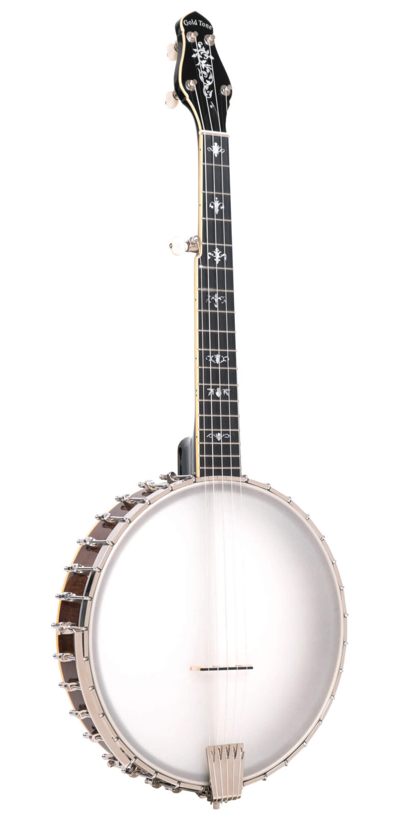 CEB-5: 5-String Cello Banjo with Case