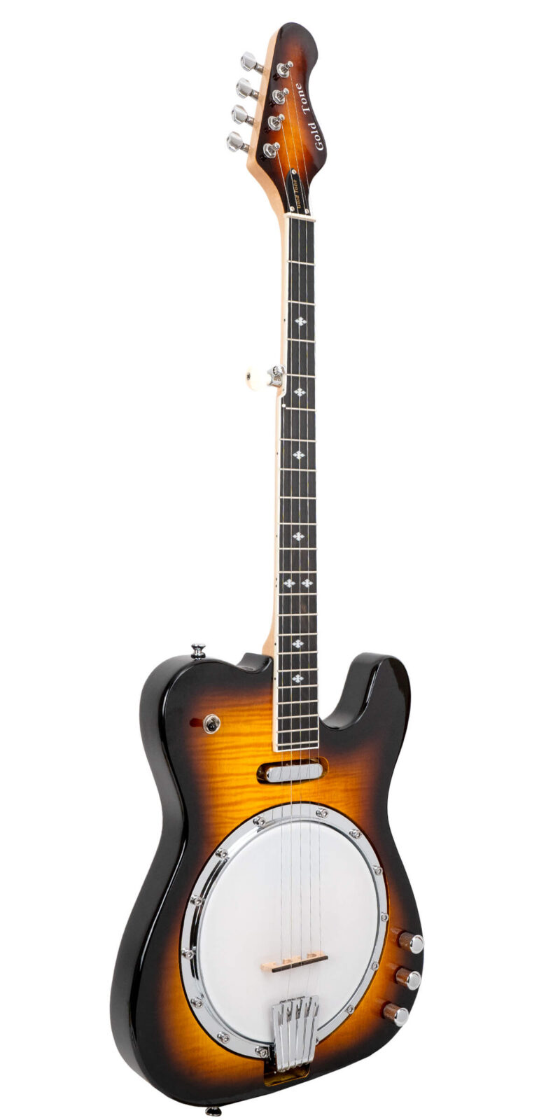 EBT: Electric 5-String Banjo with Case