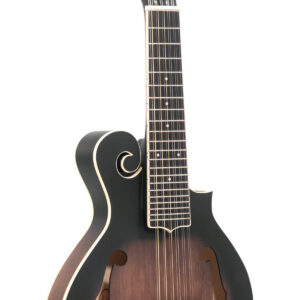 F-12: 12-string F-style Mando-Guitar with Pickup and Case