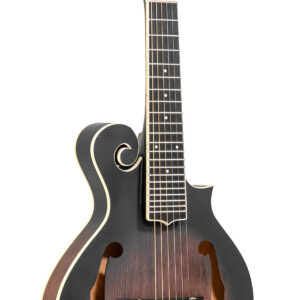 F-6: F-style Mando-Guitar with Pickup and Case