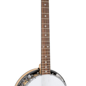 GT-500: Banjitar with Case