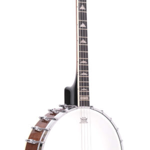 IT-250: Irish Tenor Banjo with Case