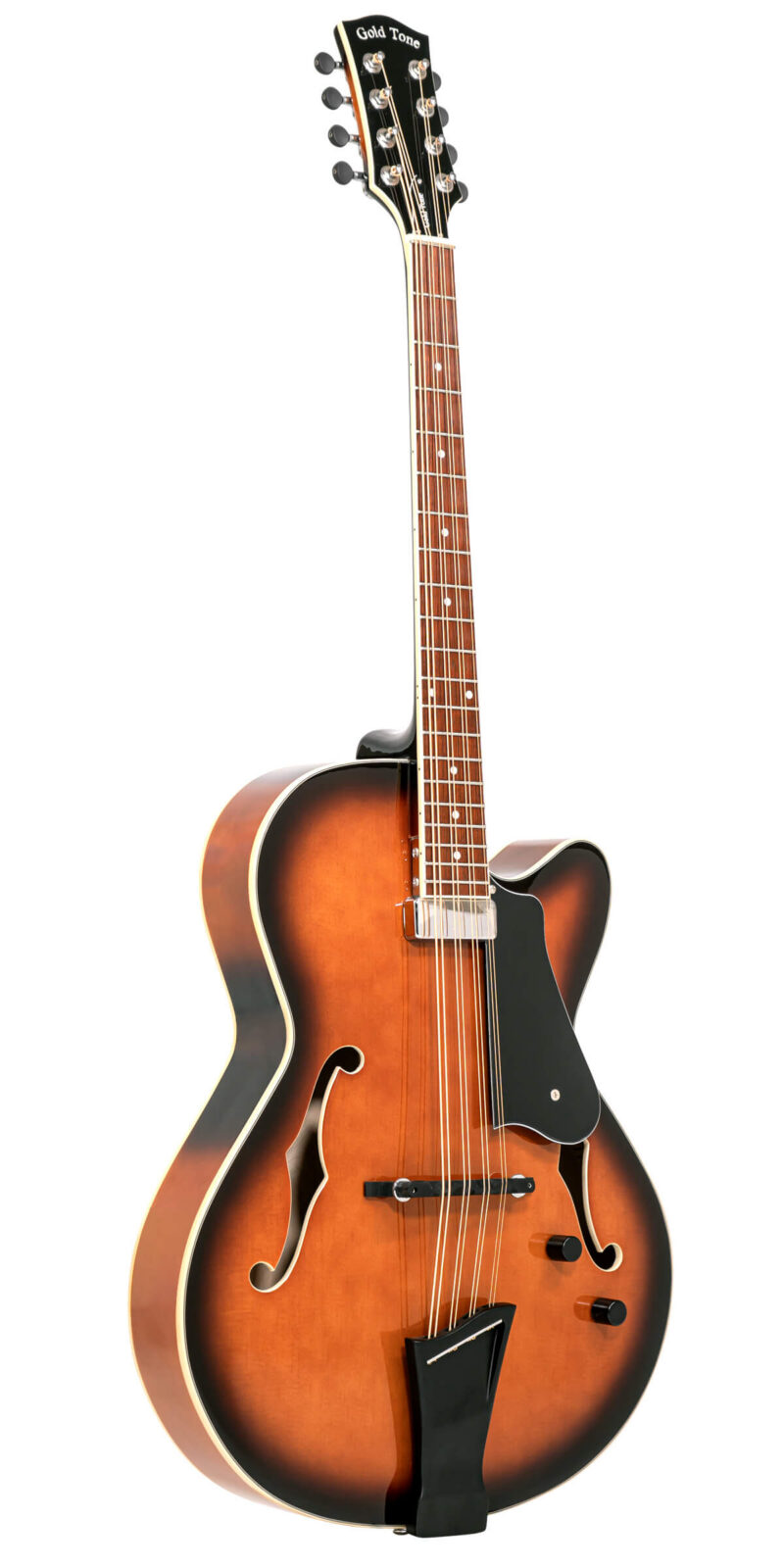 Mandocello with Pickup and Case
