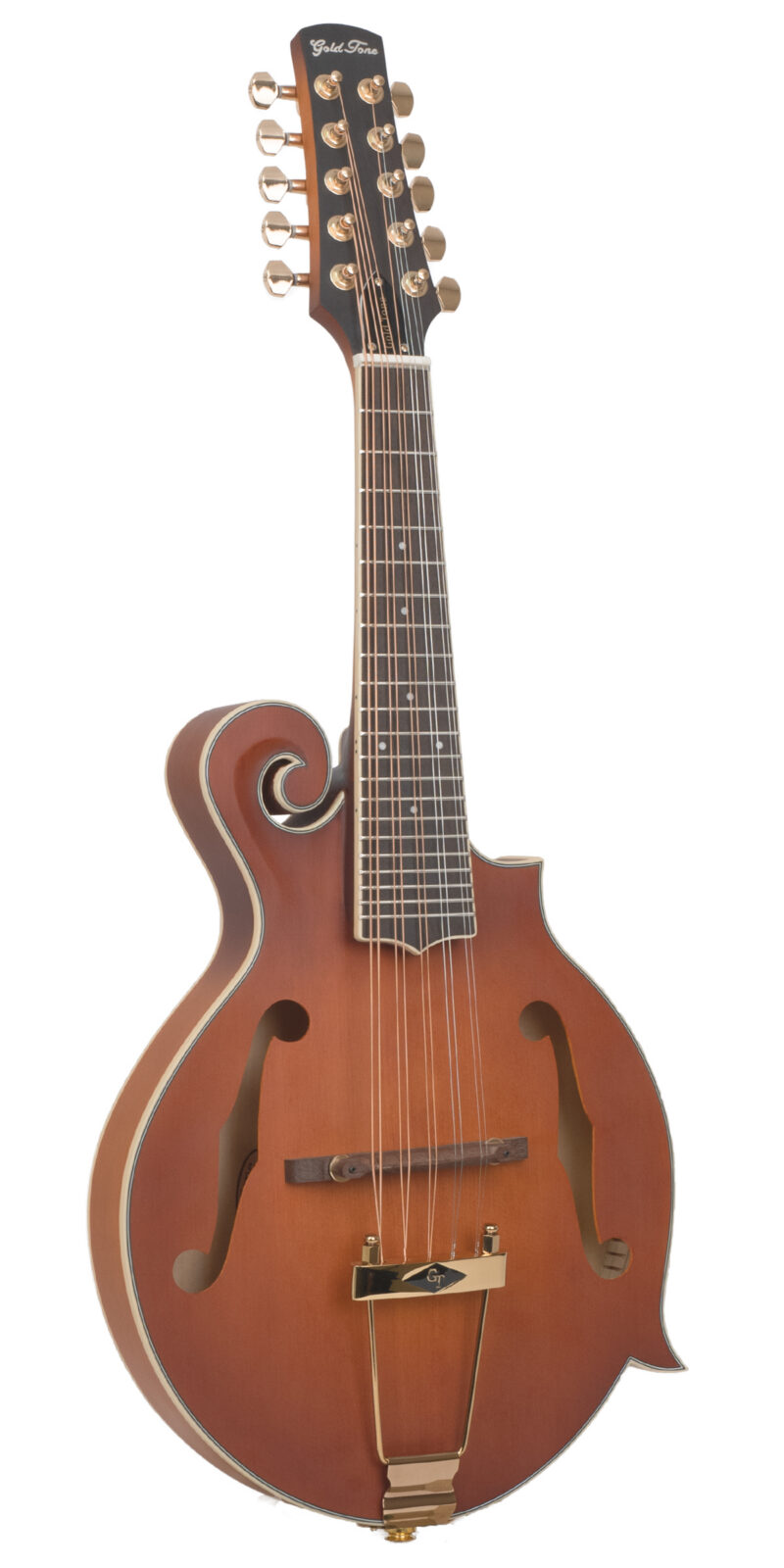 F-10: 10-String F-Style Mandolin with Pickup and Case