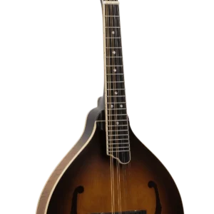 GM-55: A-Style Mandolin with Pickup and Case