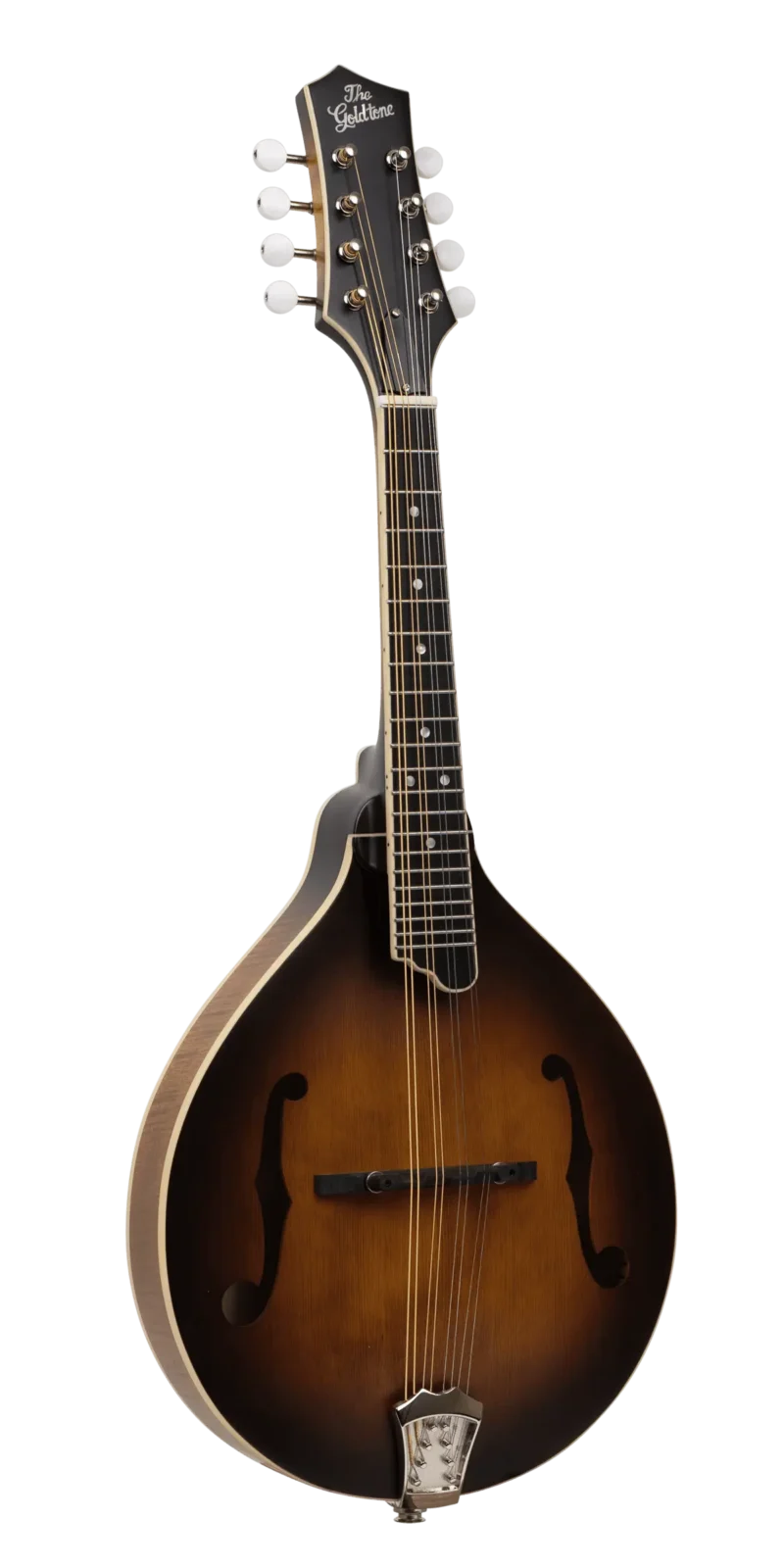 GM-55: A-Style Mandolin with Pickup and Case