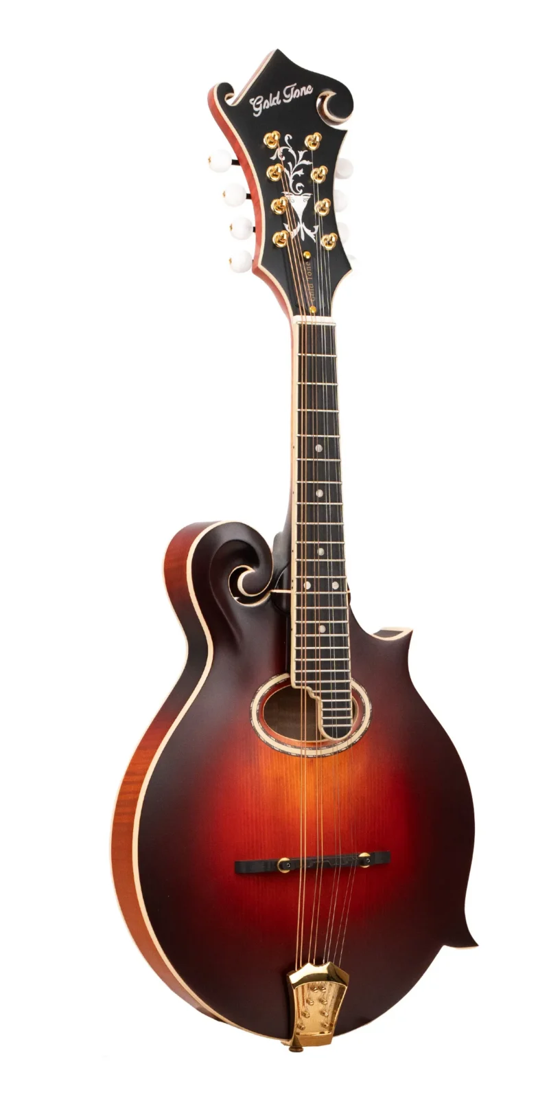 GM-80: F-Style Mandolin with Case
