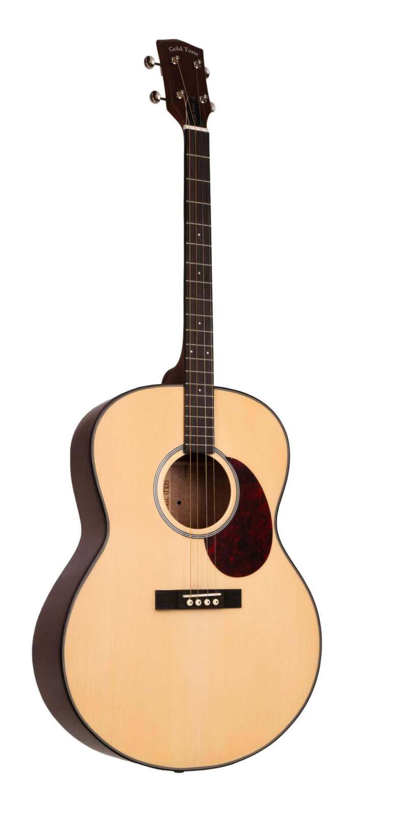 TG-10/L: Tenor Guitar with Gig Bag