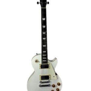 Palmer LP Custom Electric Guitar