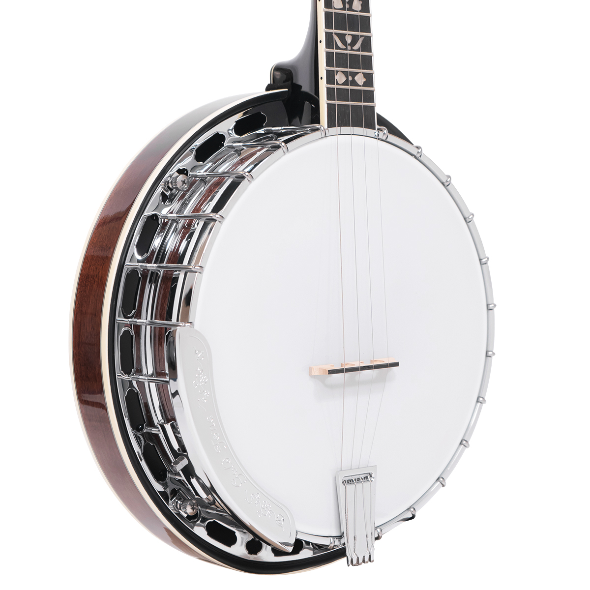 PS-250/L: Lefty Plectrum Special Banjo with Case - Image 2