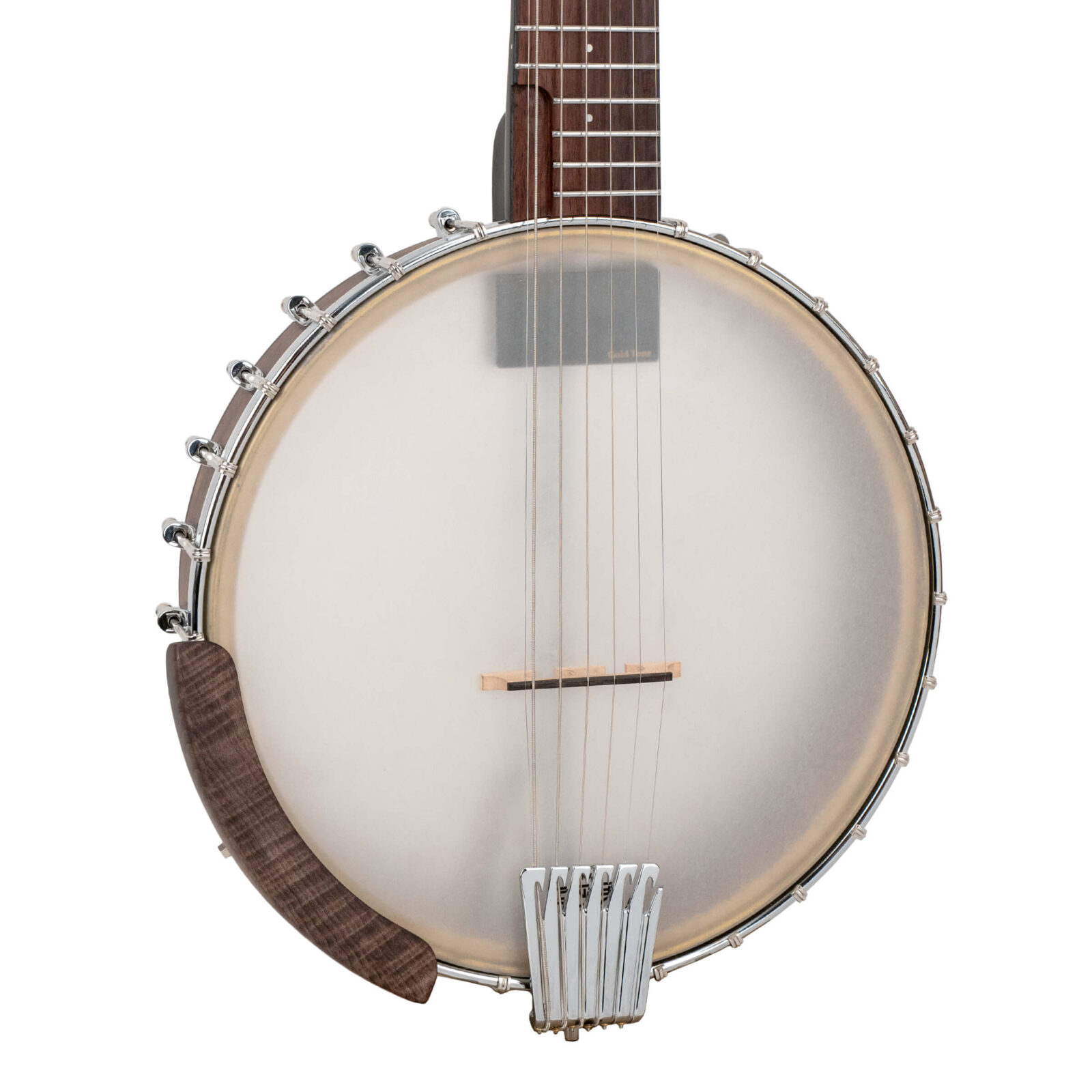 WR-7: Wayne Rogers Signature 7-String Banjitar with Bag - Image 2
