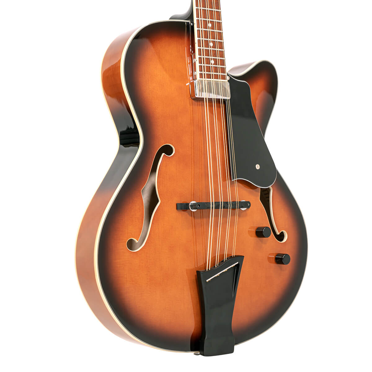 Mandocello with Pickup and Case - Image 2