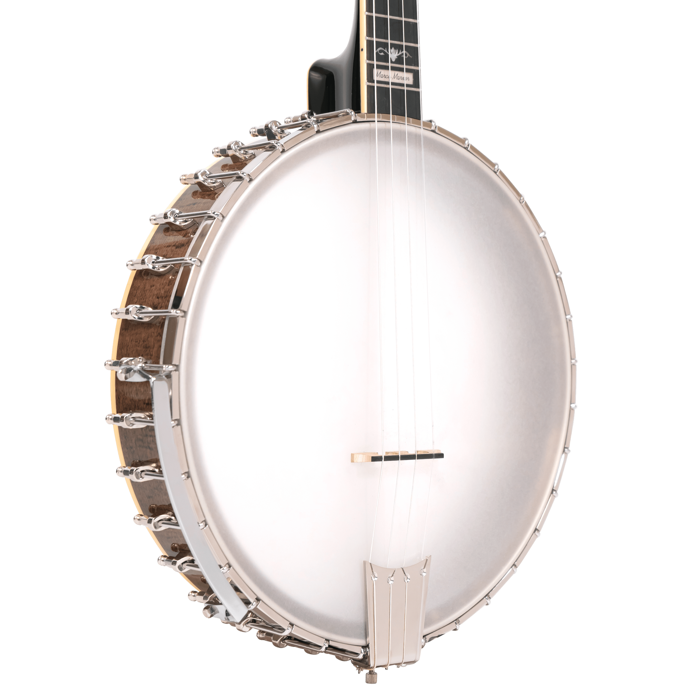 CEB-5/L: Lefty 5-String Cello Banjo with Case - Image 2