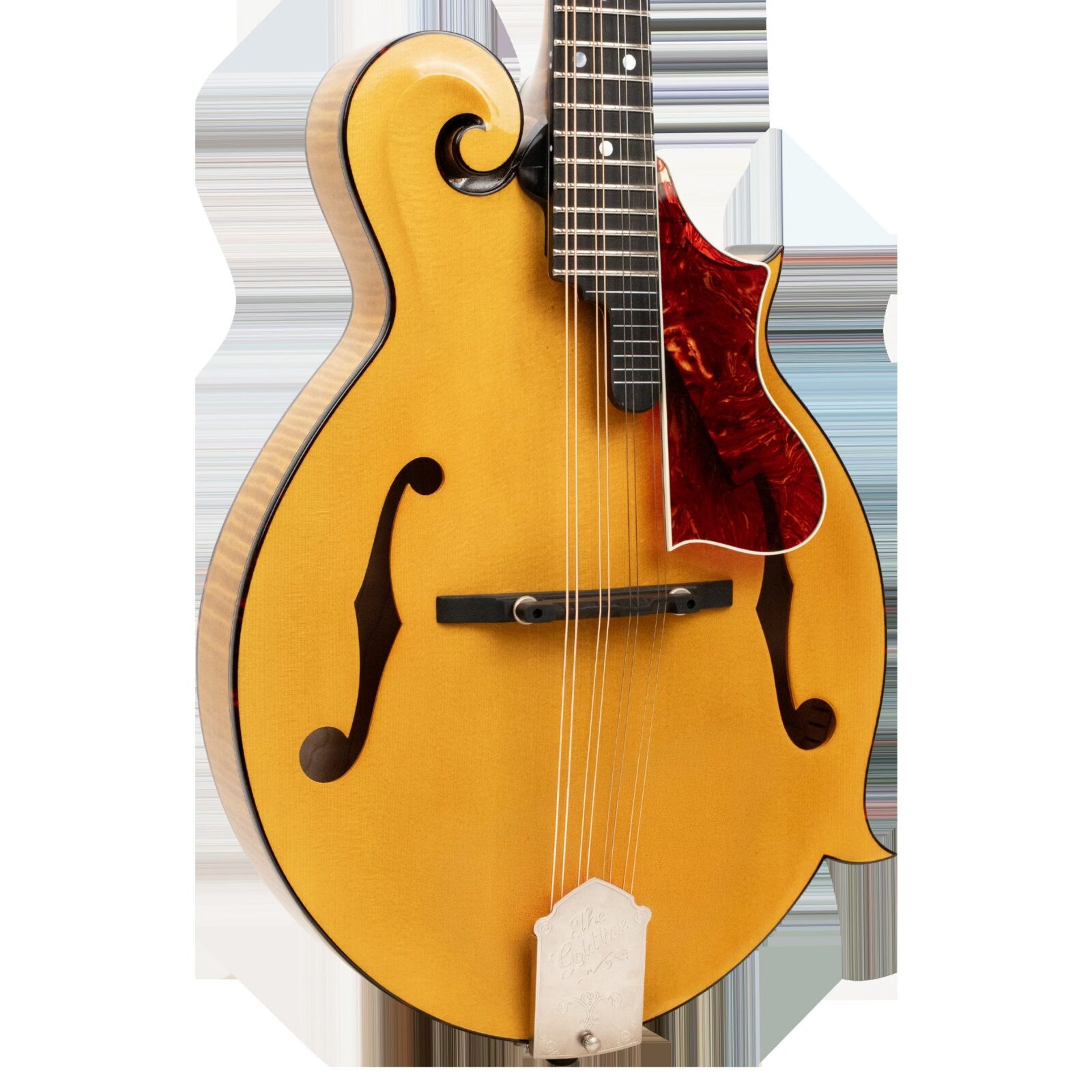 Grandmaster Mandolin Elite (Honey Amber) - Image 2