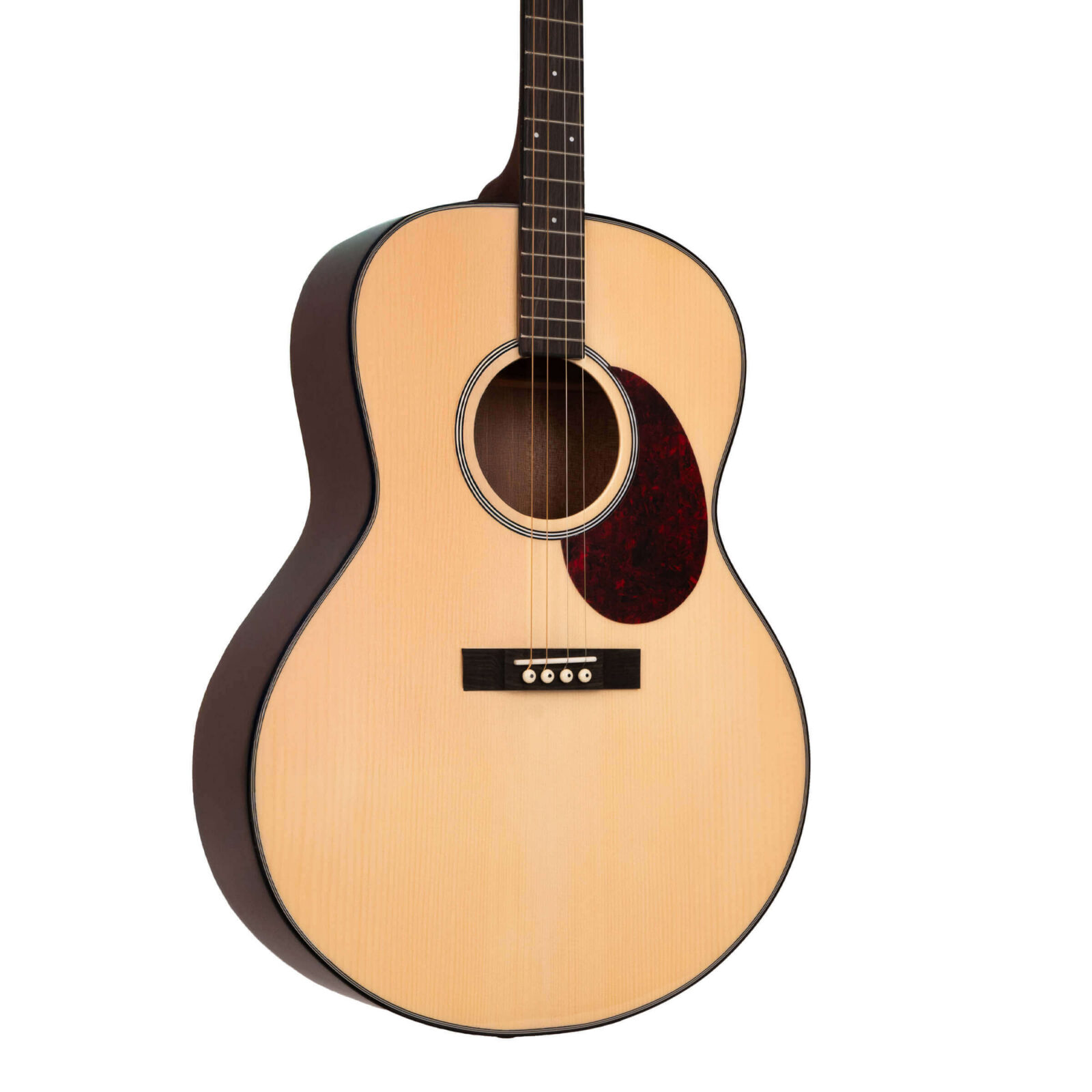 TG-10/L: Tenor Guitar with Gig Bag - Image 2