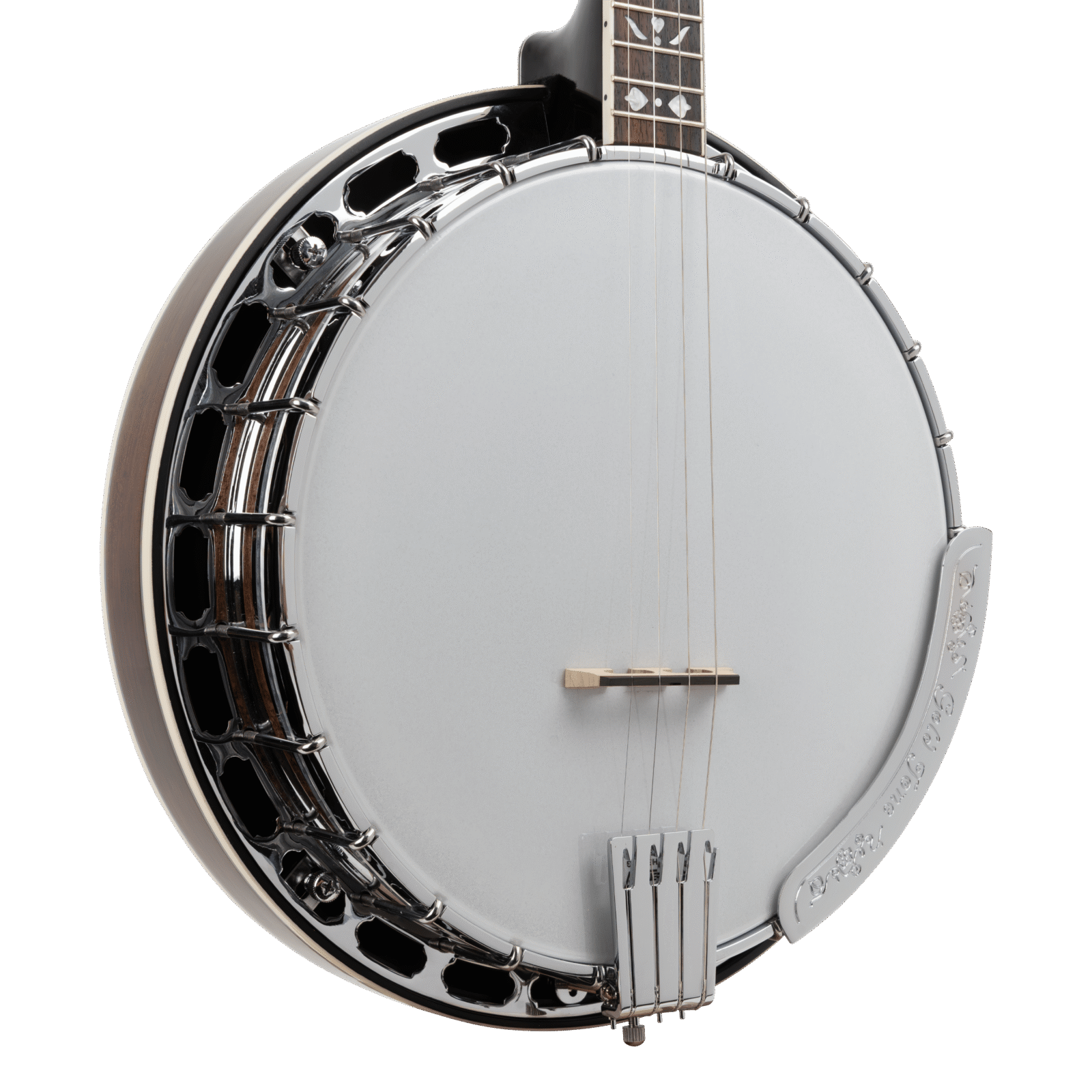 TS-250/L: Tenor Special Banjo with Case - Image 2