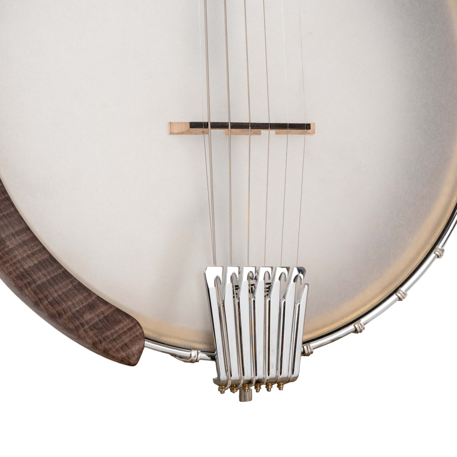 WR-7: Wayne Rogers Signature 7-String Banjitar with Bag - Image 3