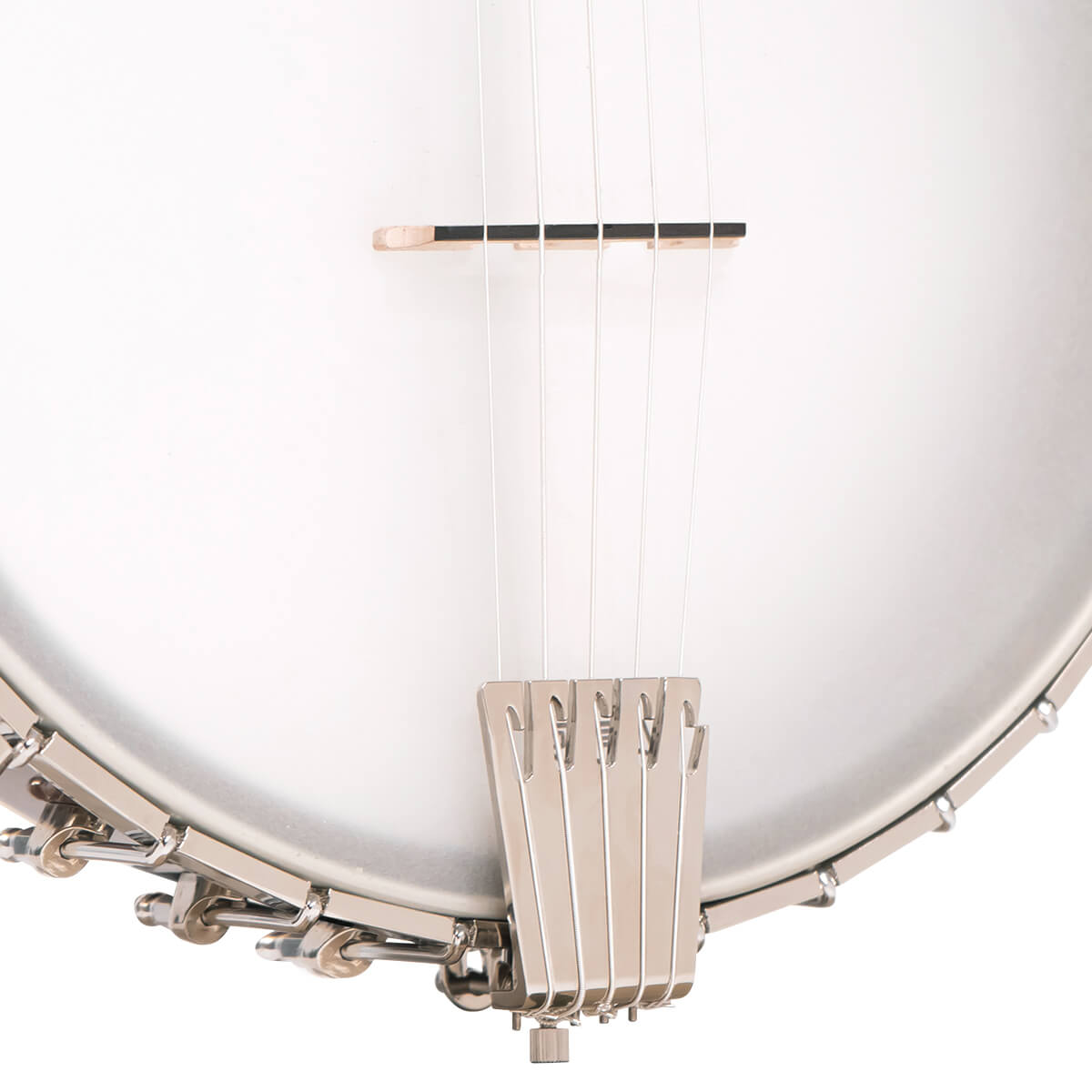 CEB-5: 5-String Cello Banjo with Case - Image 3