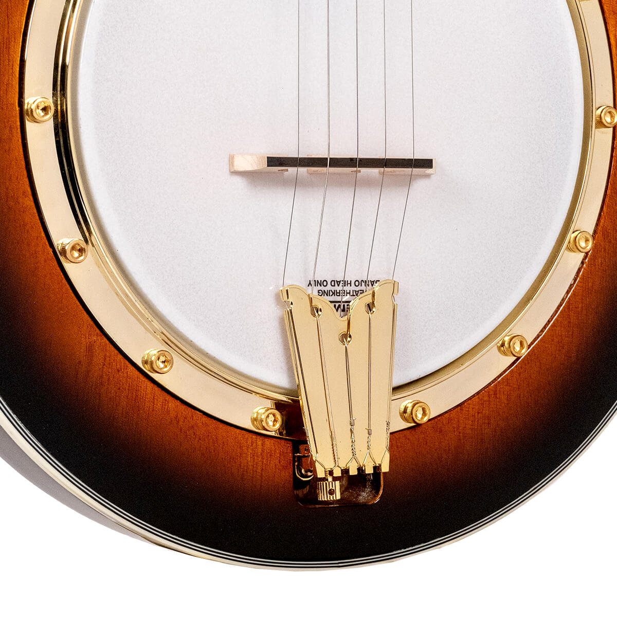 EBM-5: Electric Banjo with Case - Image 3