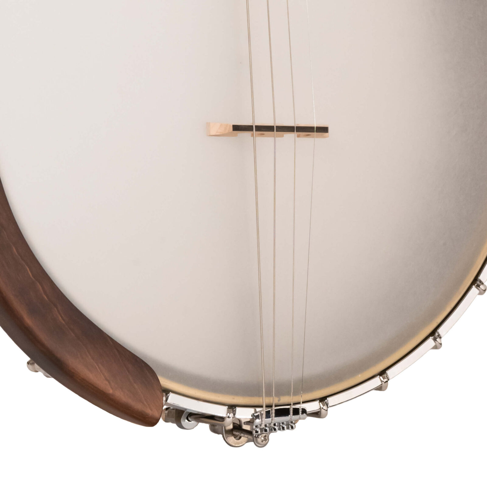 IT-19: Irish Tenor Banjo with 19 Frets and Gig Bag - Image 3