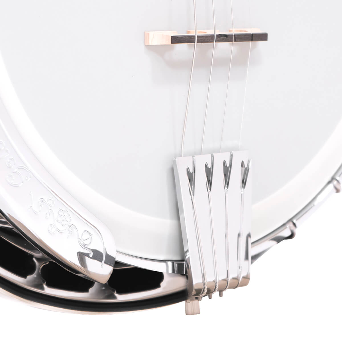 IT-250F: Irish Tenor Banjo with Flange and Case - Image 3