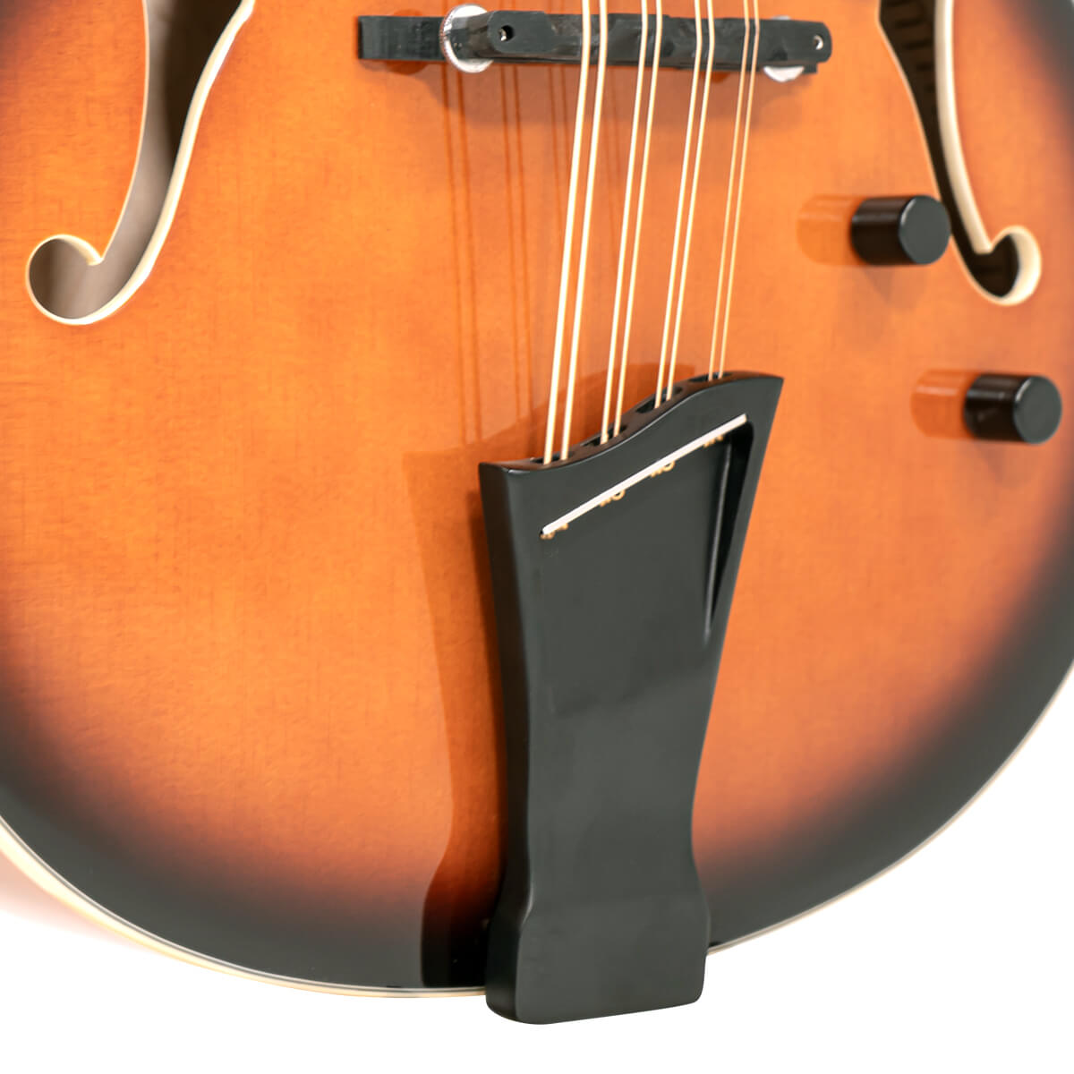 Mandocello with Pickup and Case - Image 3
