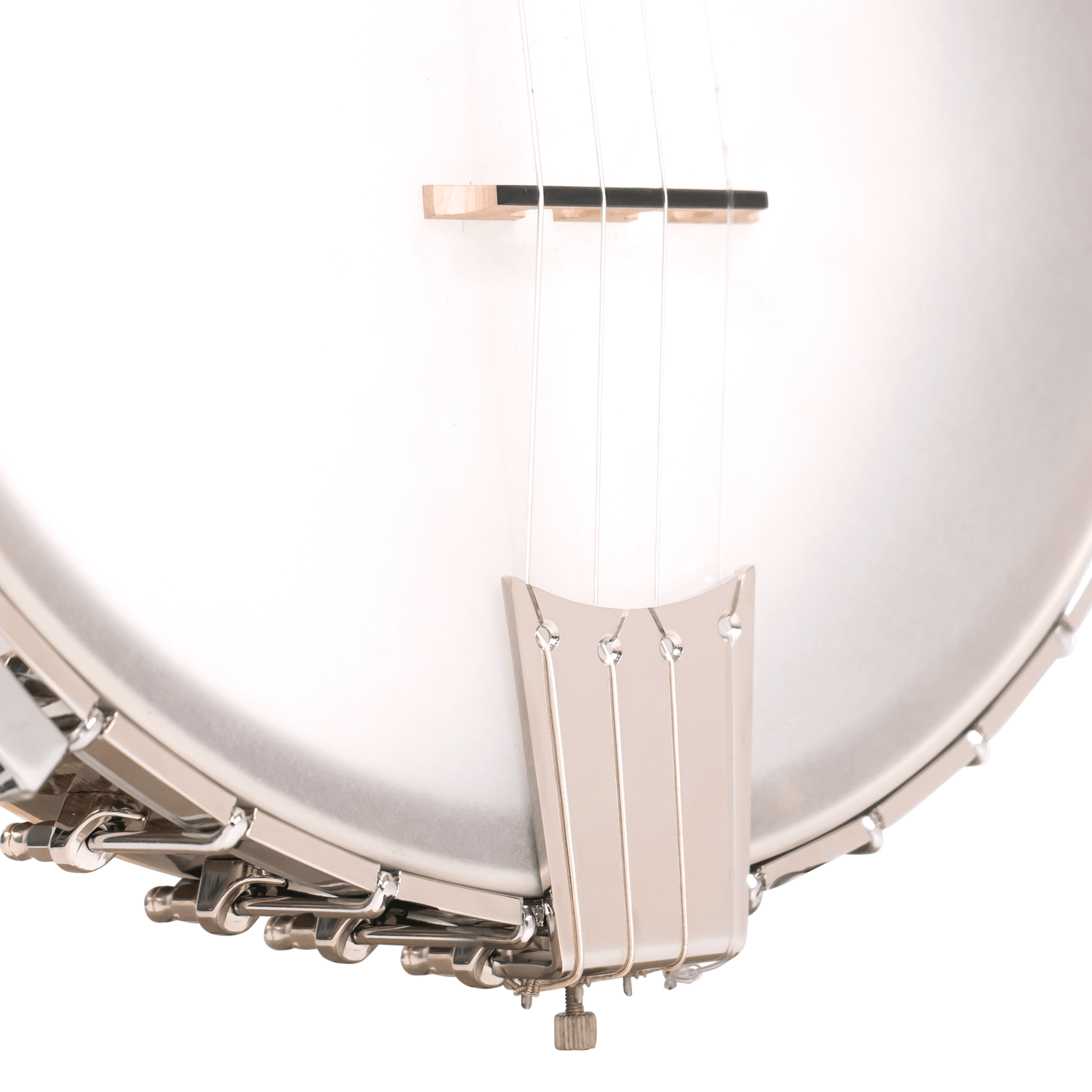 CEB-5/L: Lefty 5-String Cello Banjo with Case - Image 3