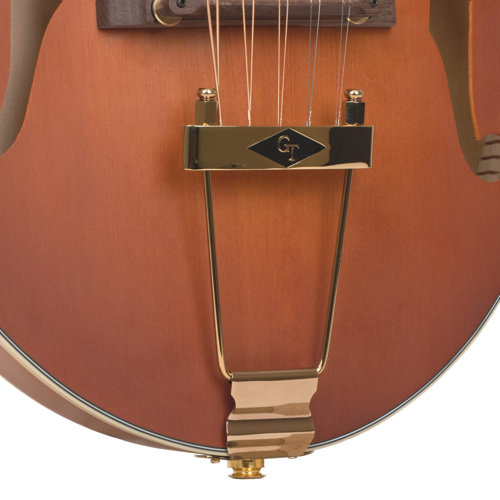 F-10: 10-String F-Style Mandolin with Pickup and Case - Image 4