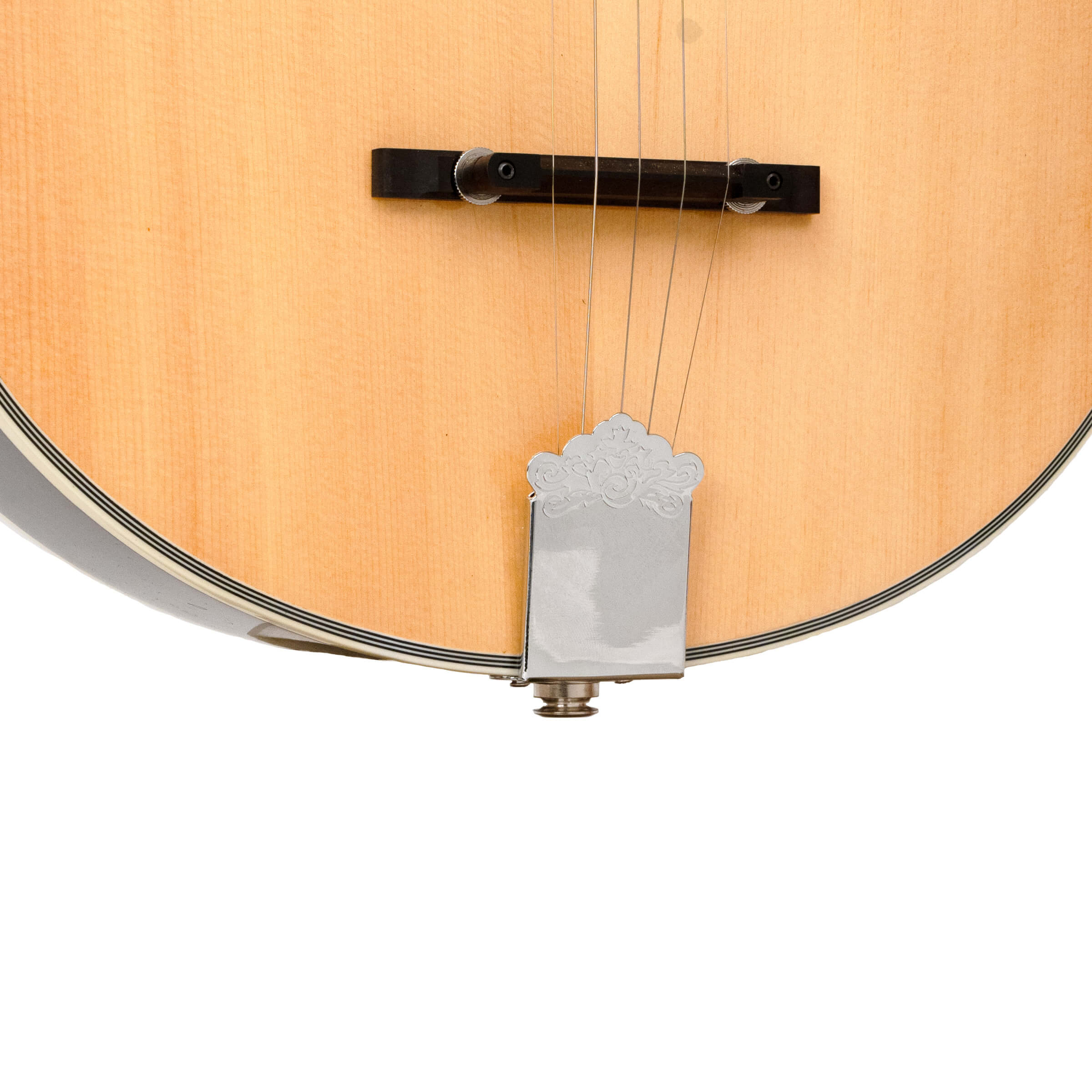 Banjola+: Woodbody Banjo with Pickup and Bag - Image 3