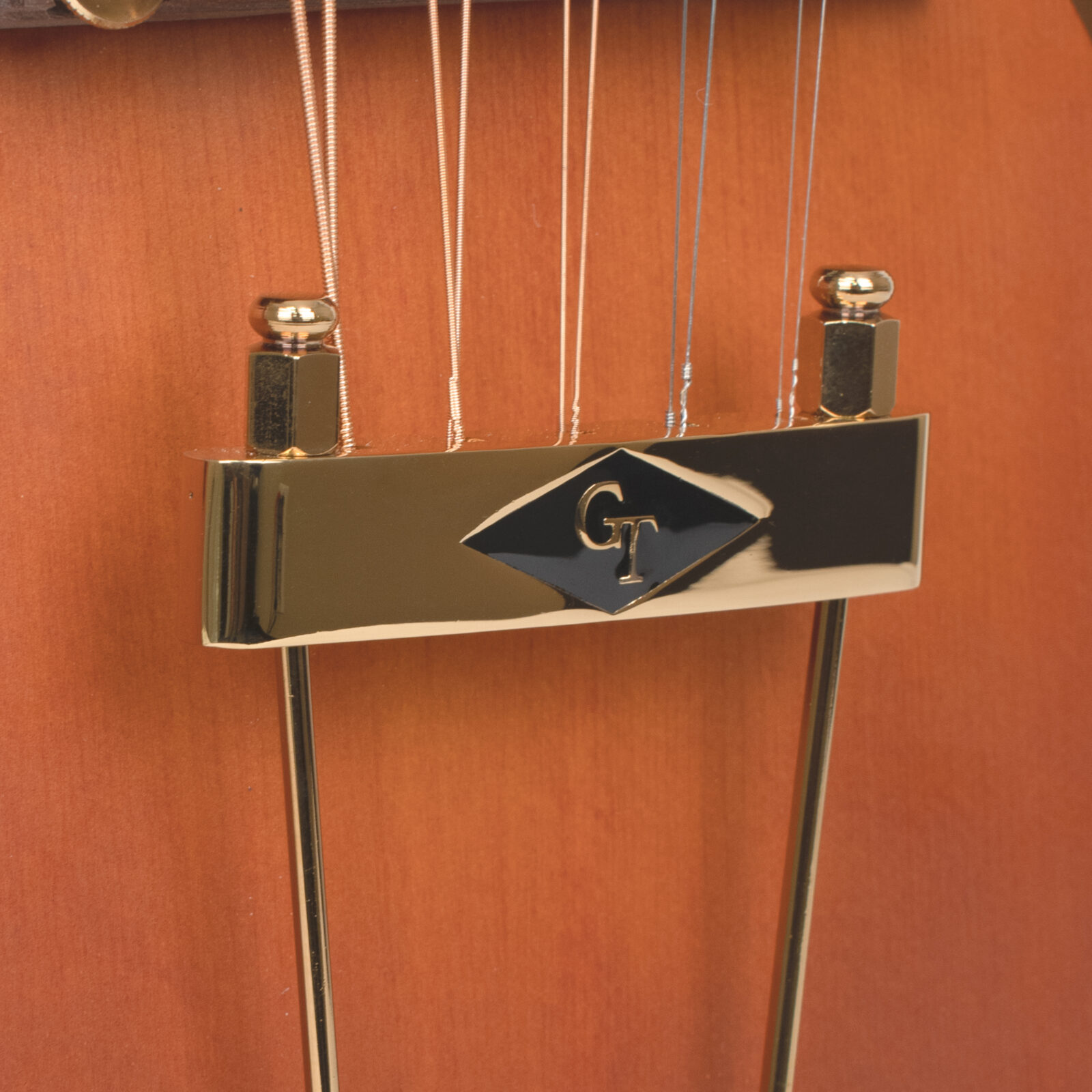 F-10: 10-String F-Style Mandolin with Pickup and Case - Image 3