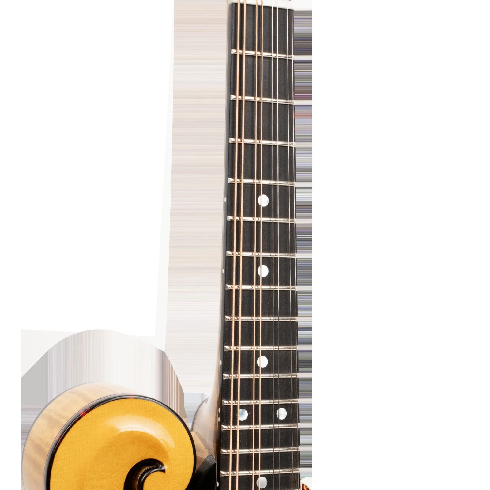 Grandmaster Mandolin Elite (Honey Amber) - Image 4
