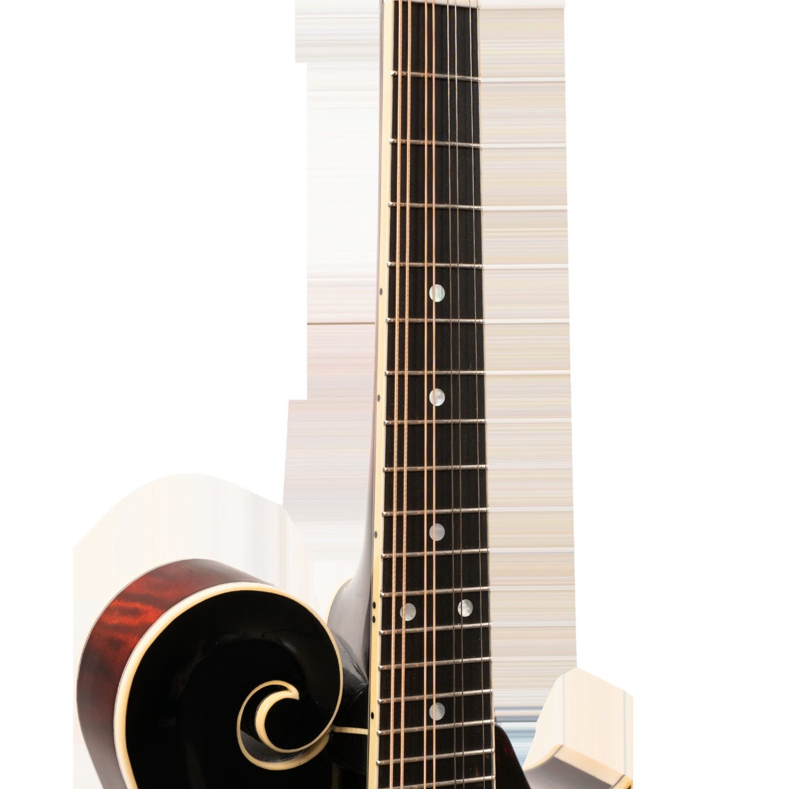 Grandmaster Mandolin Victorian - Image 4