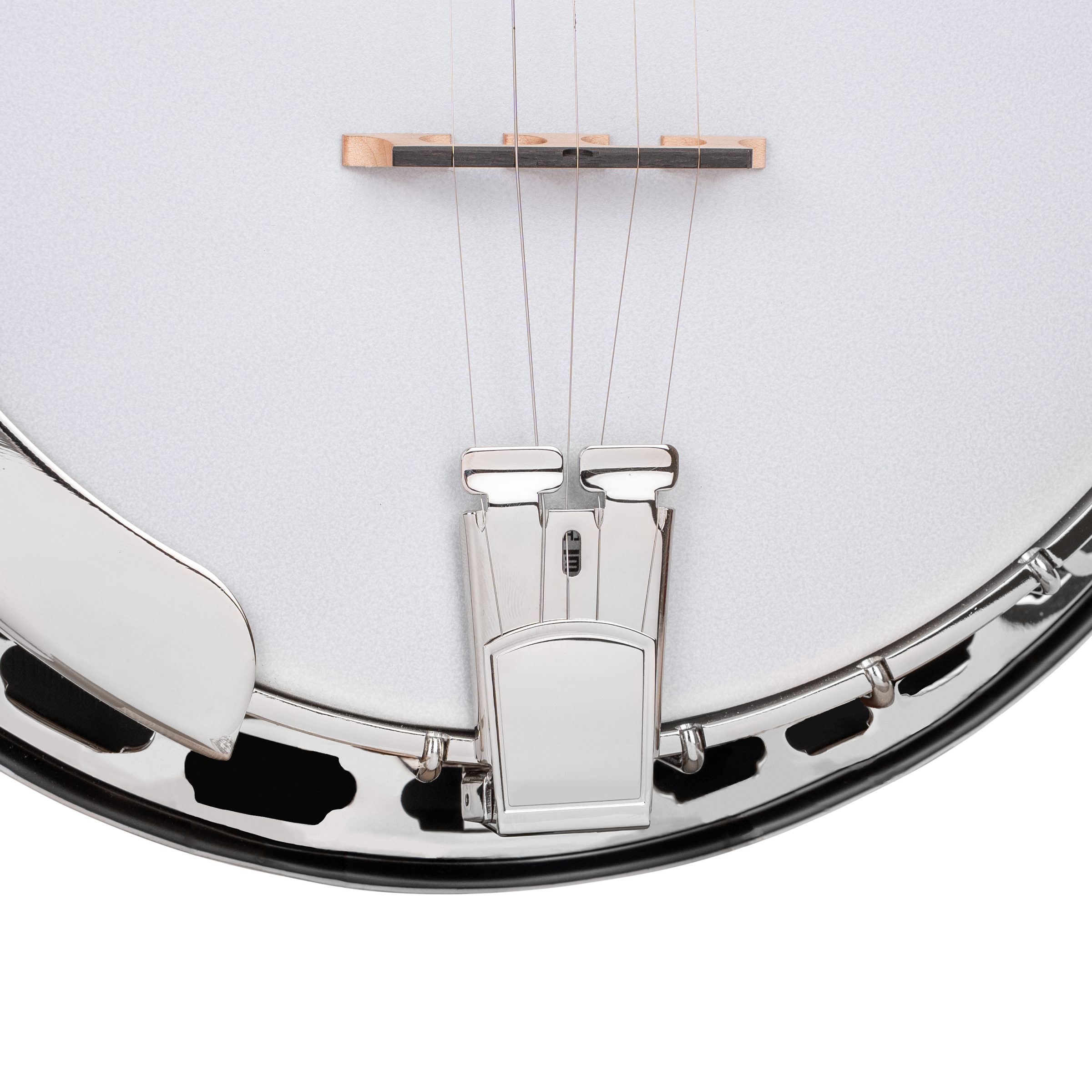 BG-150F: Bluegrass Banjo with Flange and Bag - Image 3