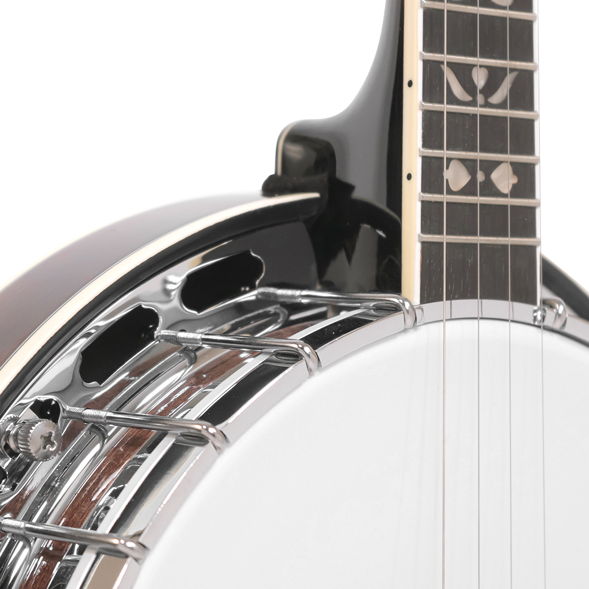 PS-250/L: Lefty Plectrum Special Banjo with Case - Image 4
