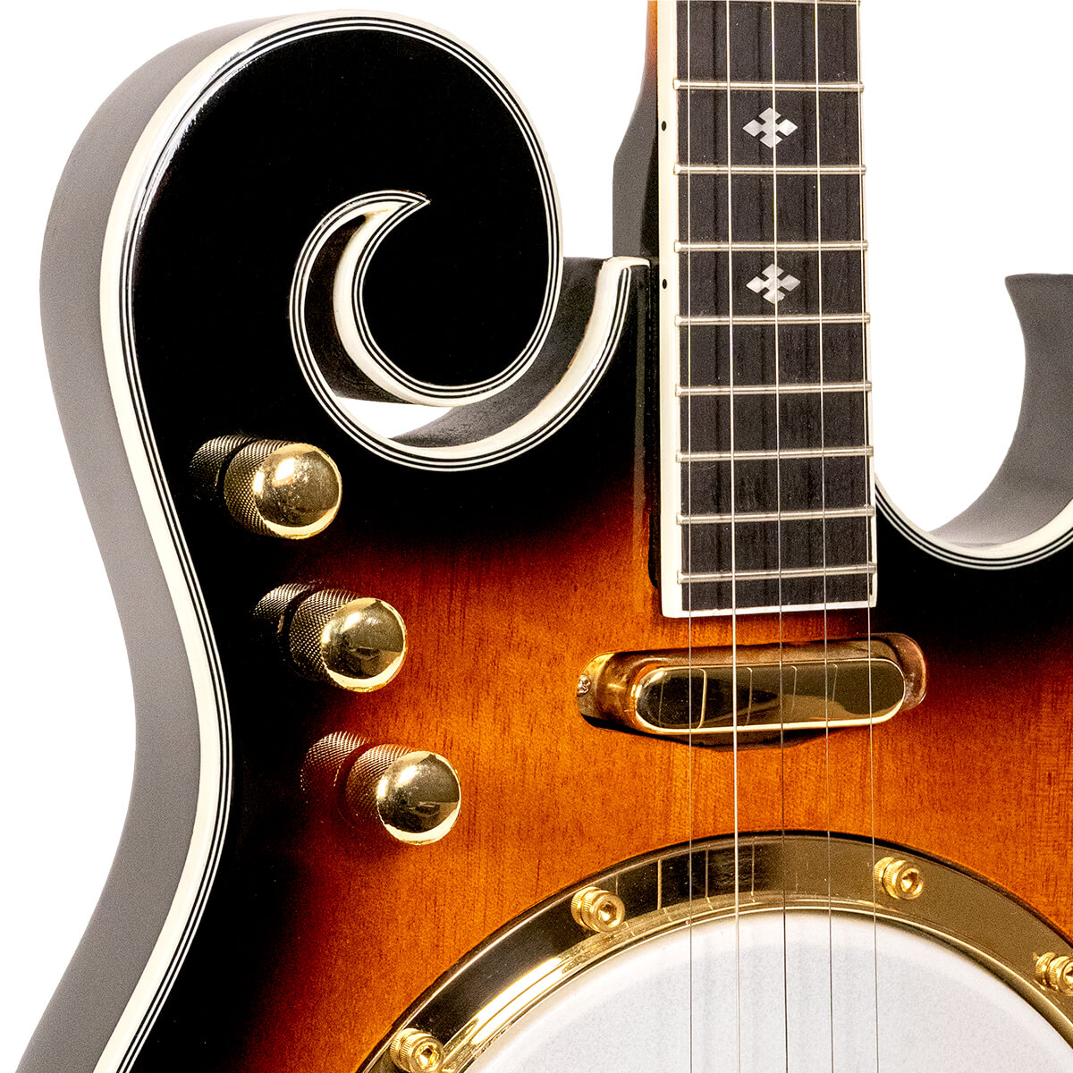 EBM-5: Electric Banjo with Case - Image 4