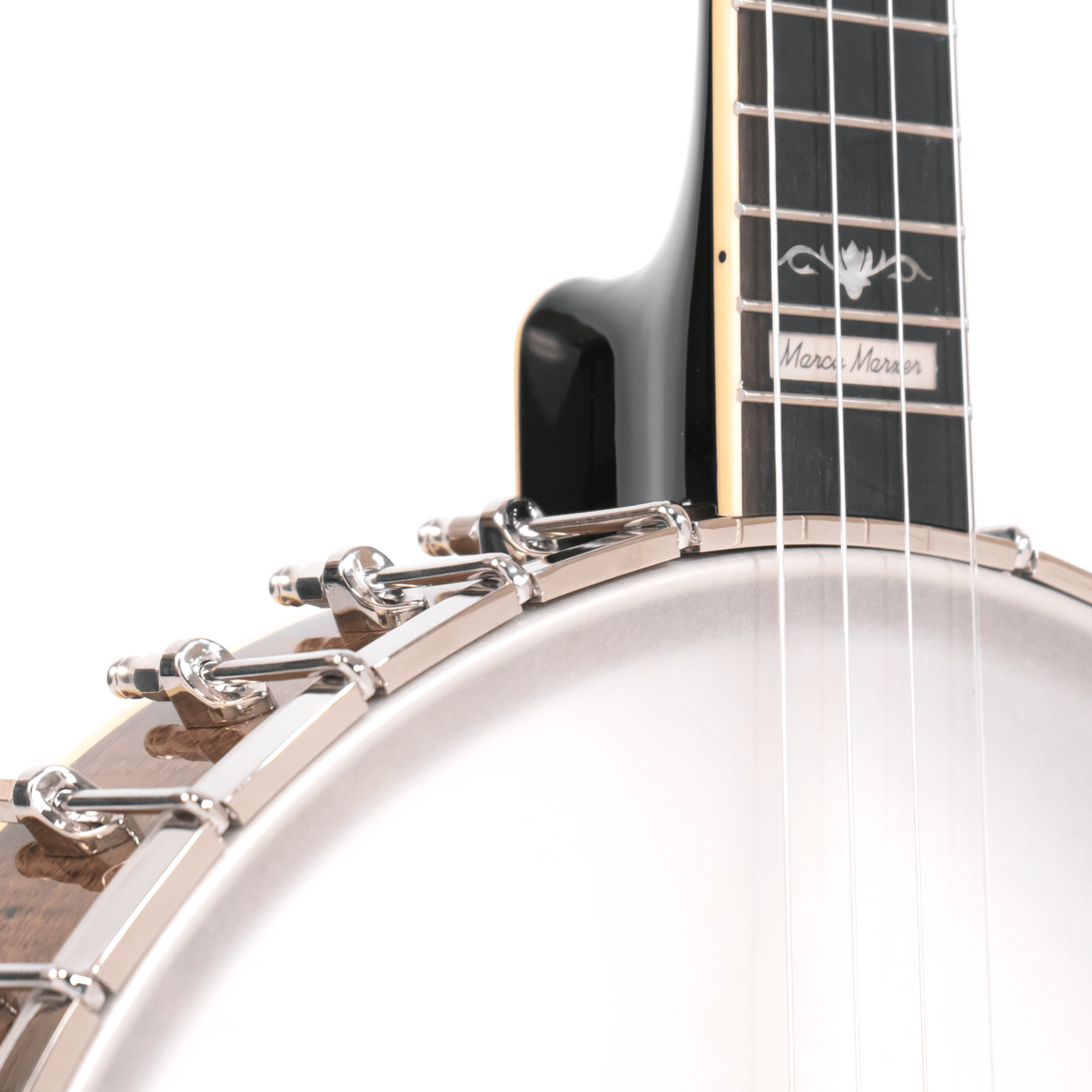 CEB-5/L: Lefty 5-String Cello Banjo with Case - Image 4