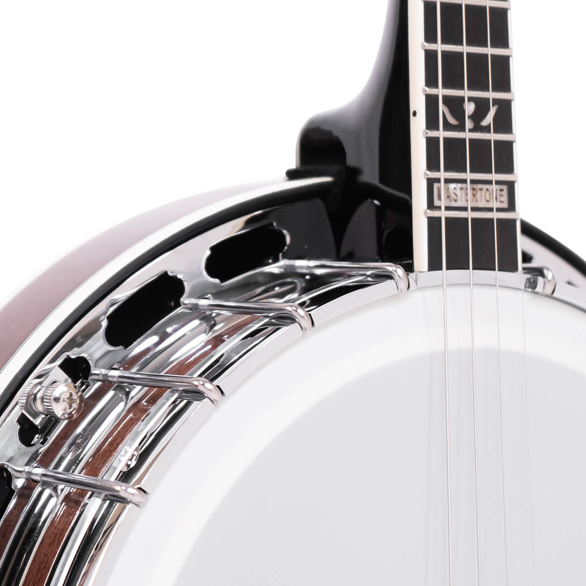 IT-250F: Irish Tenor Banjo with Flange and Case - Image 4
