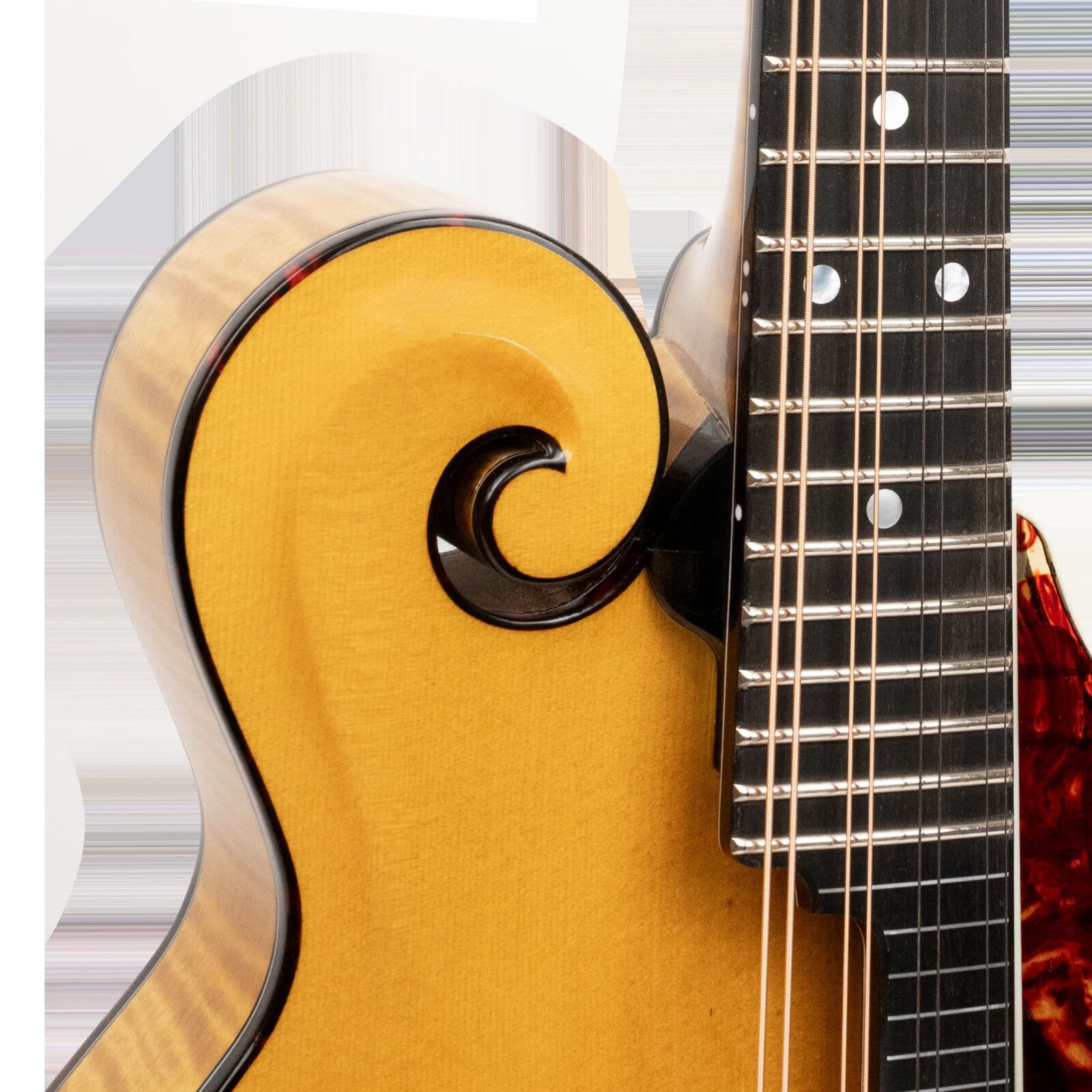 Grandmaster Mandolin Elite (Honey Amber) - Image 3