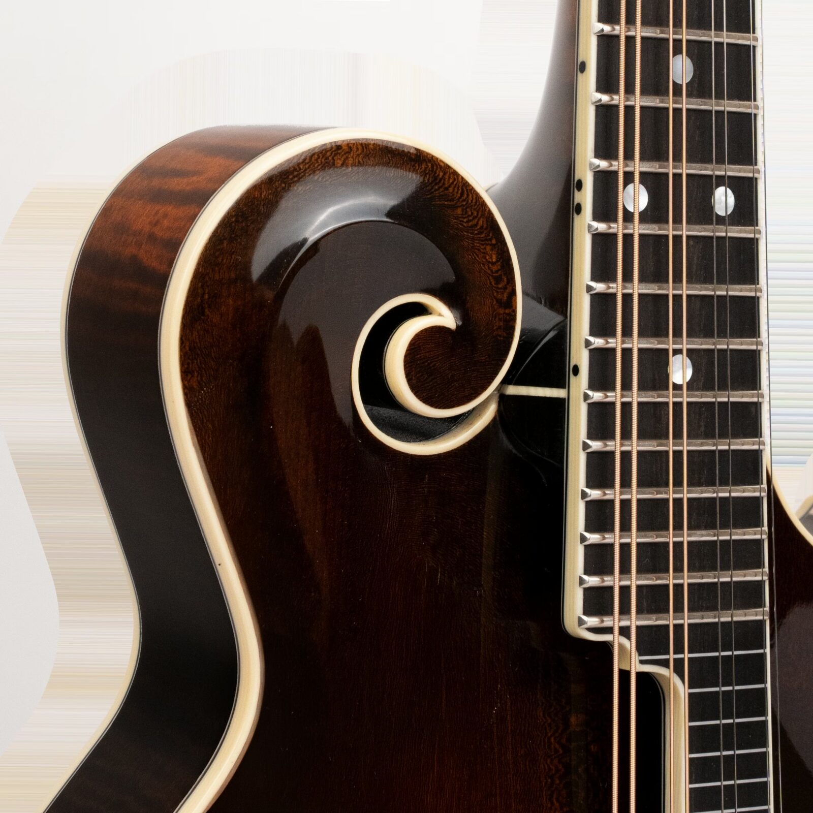 Grandmaster Mandolin Elite (Burst) - Image 3