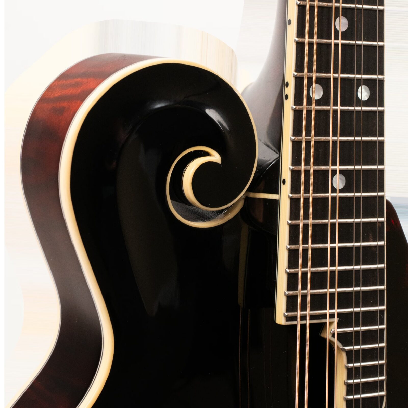 Grandmaster Mandolin Victorian - Image 3