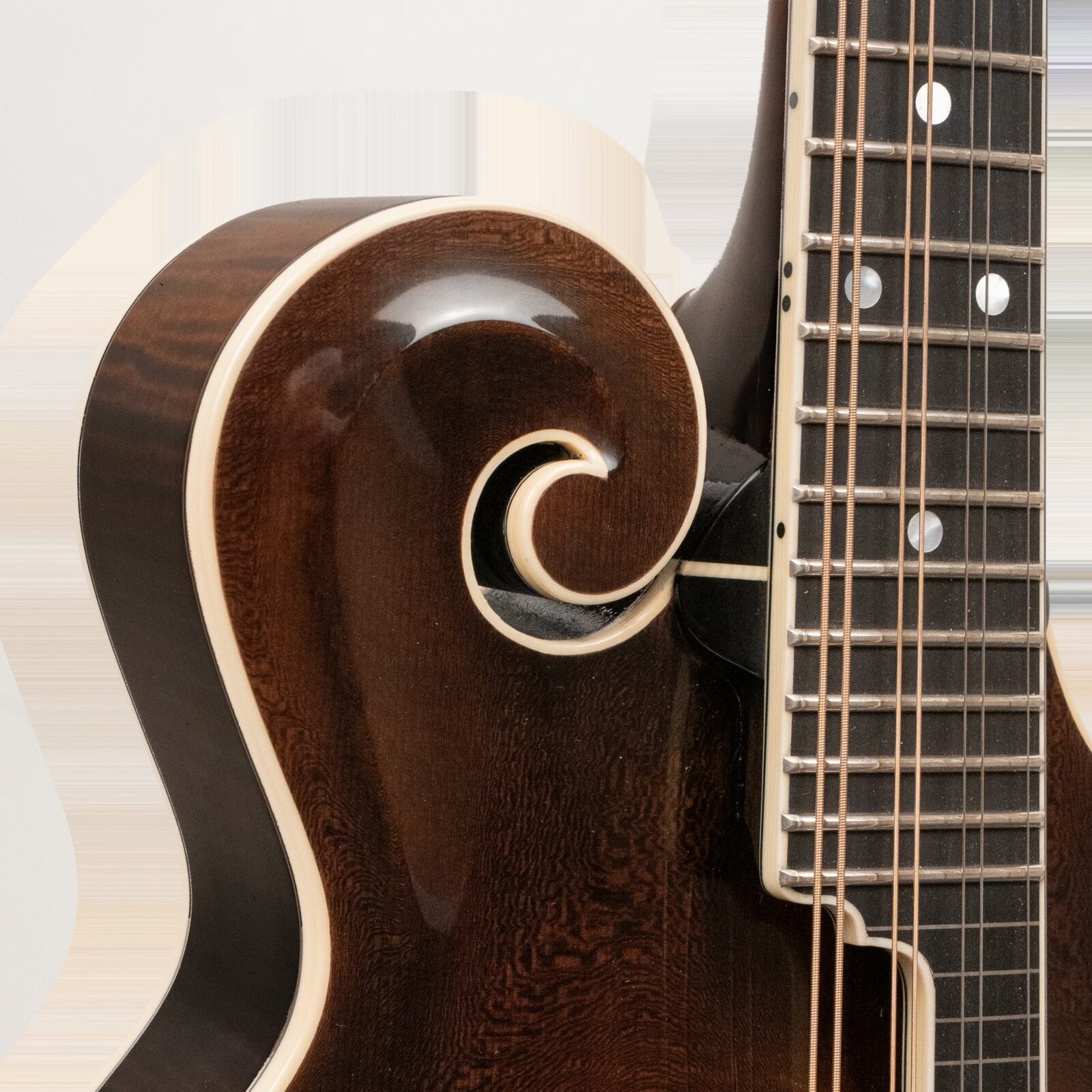 Grandmaster Mandolin Elite (Vintage Leather) - Image 3