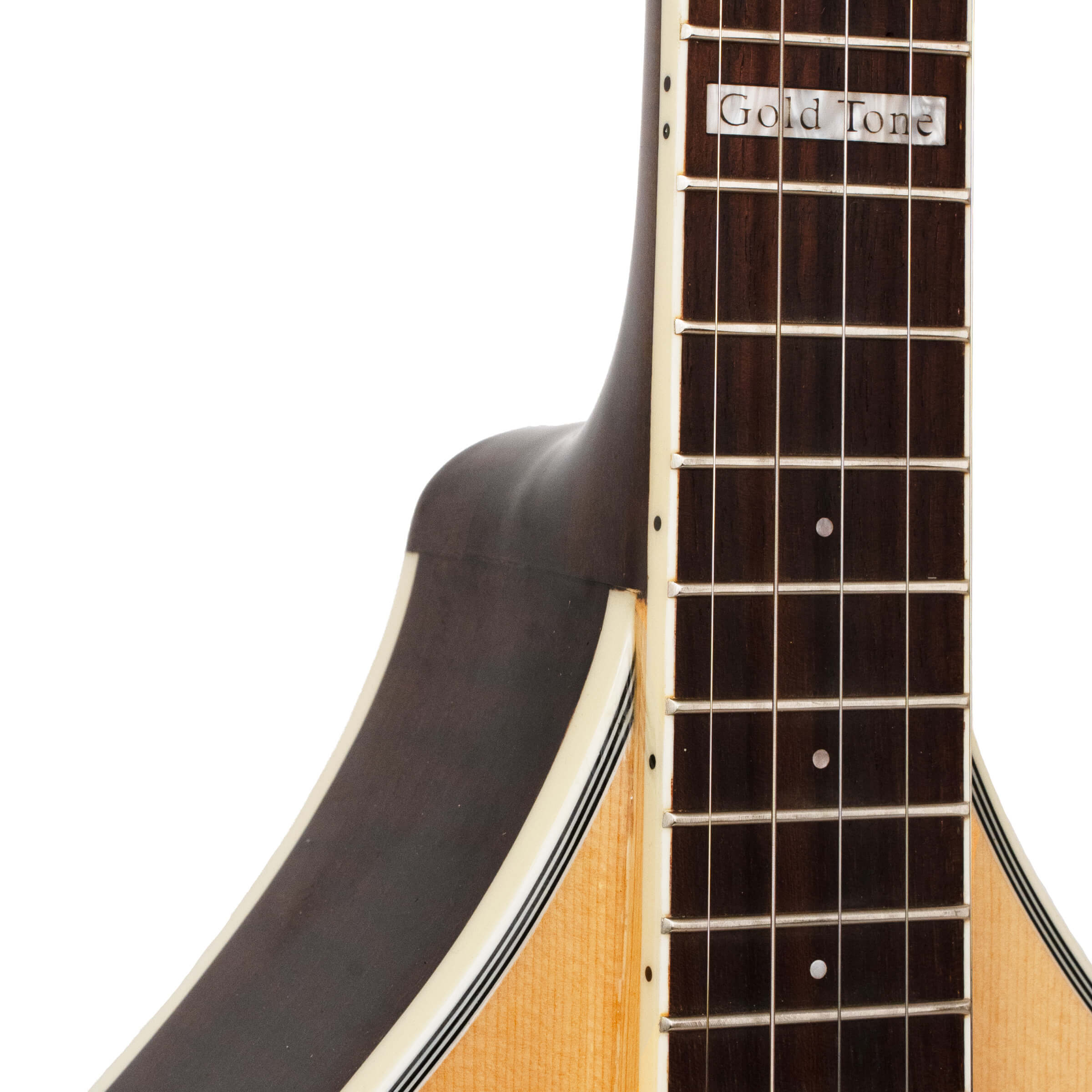 Banjola+: Woodbody Banjo with Pickup and Bag - Image 4